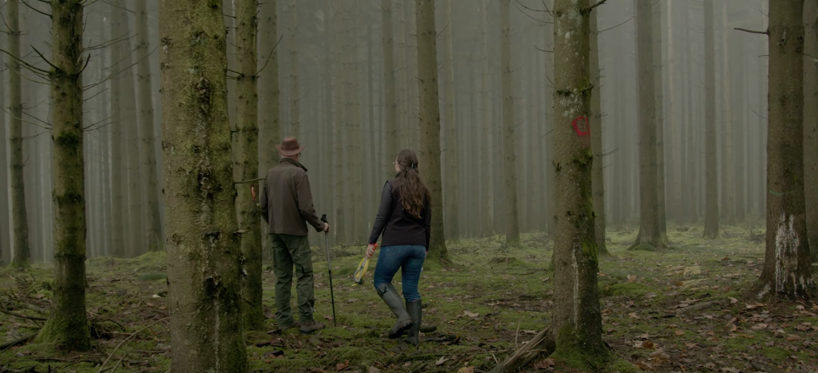 Teaserfilm-22Privatwald22