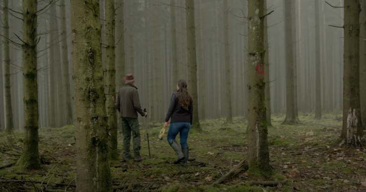 Teaserfilm-22Privatwald22