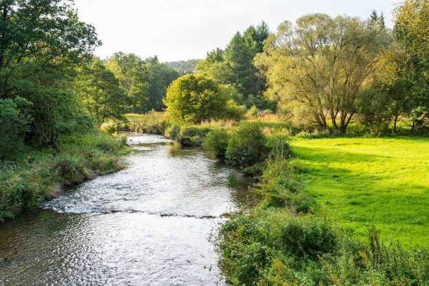 Montenau_Flusslauf_Amel_01(c)eastbelgium.com_Dominik_Ketz
